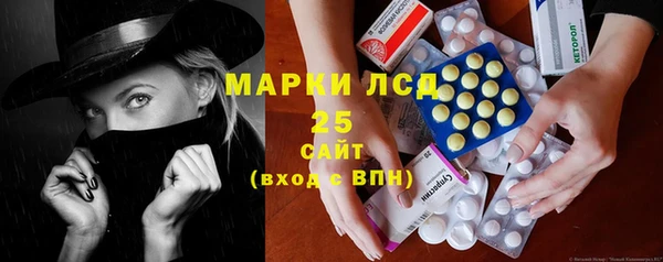 гашик Алексин