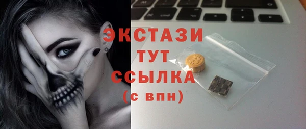 гашик Алексин