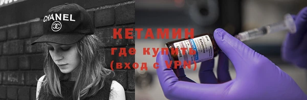 гашик Алексин