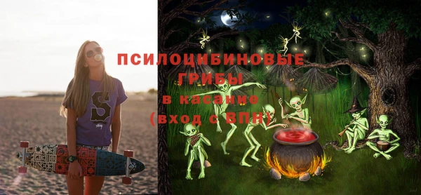 гашик Алексин