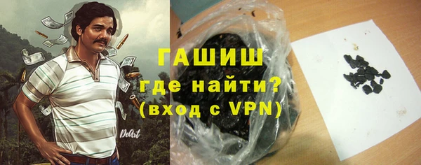 гашик Алексин