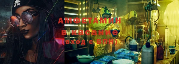 гашик Алексин